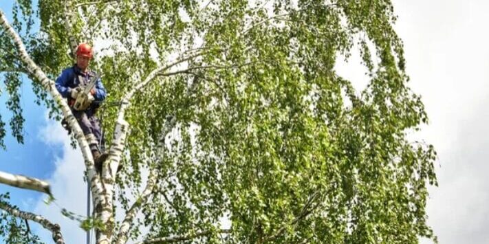 Capture d'écran 2025-09-23 141802